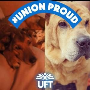 Meet your Posher, Tatiana